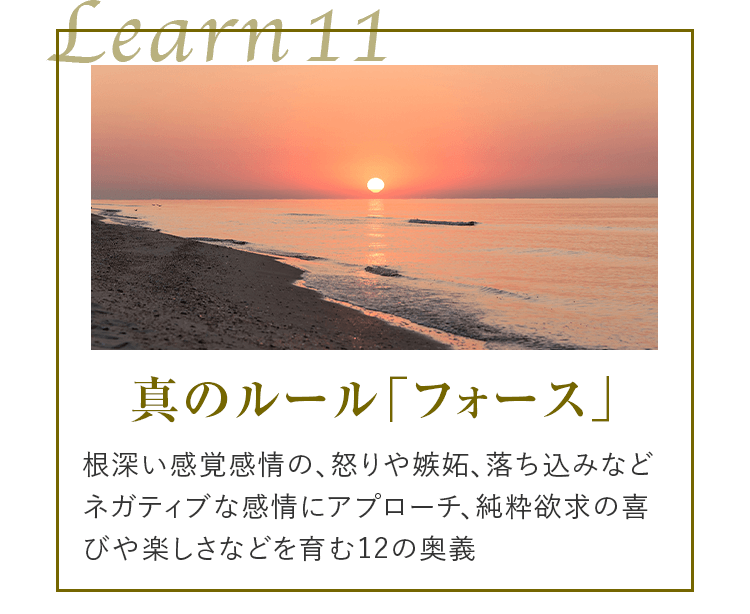 learn11 真のルール「フォース」